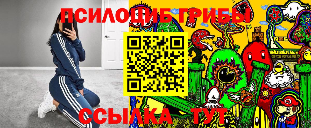 Псилоцибиновые грибы Cubensis Пыть-Ях