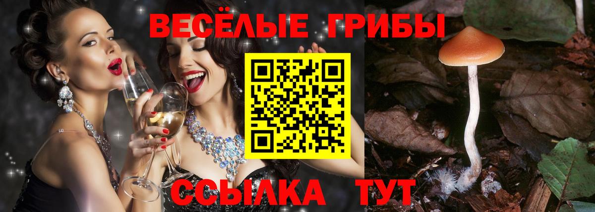 Галлюциногенные грибы Cubensis  Галлюциногенные грибы MAGIC MUSHROOMS  Вход с VPN  Пыть-Ях 